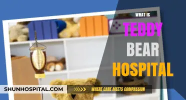 Healing Huggies: Inside the Teddy Bear Hospital