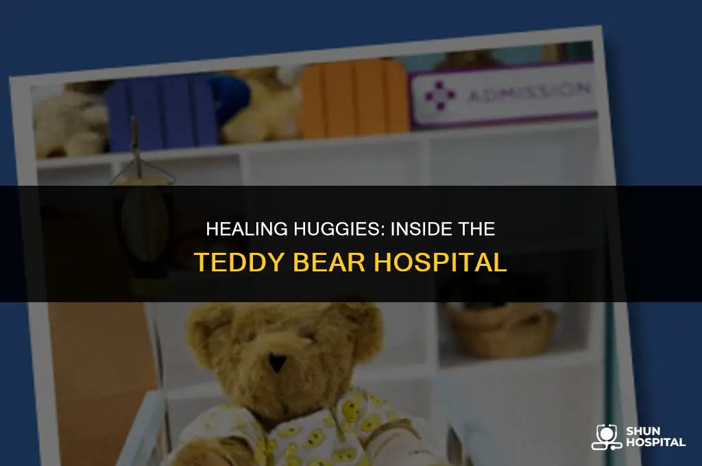 what is teddy bear hospital