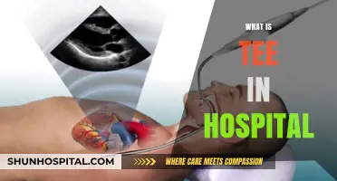 Understanding TEE: The Lifesaving Procedure in Hospitals