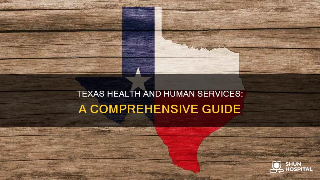 what is texas health and human services