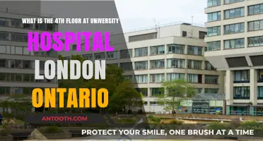 Exploring the 4th Floor at University Hospital London Ontario