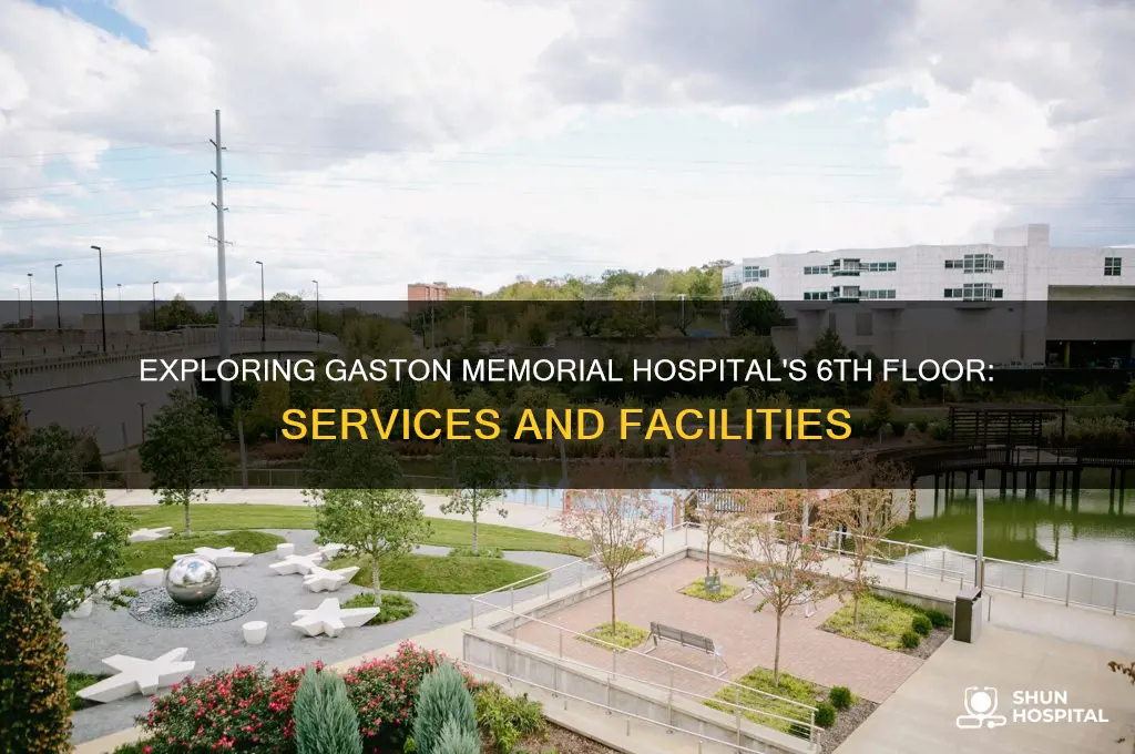 what is the 6th floor of gaston memorial hospital