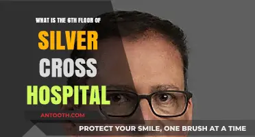 Exploring Silver Cross Hospital's 6th Floor: Services and Facilities