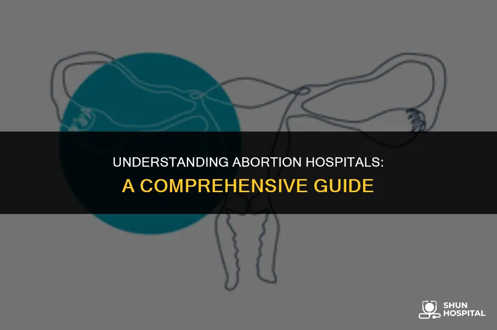 what is the abortion hospital