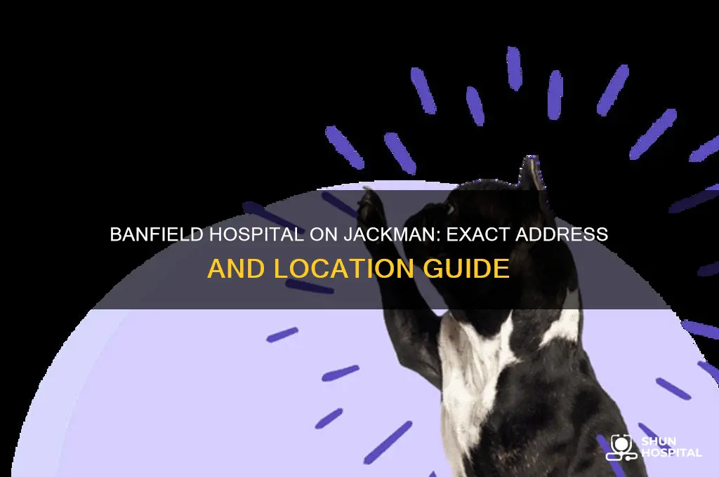 what is the address of banfield hospital on jackman