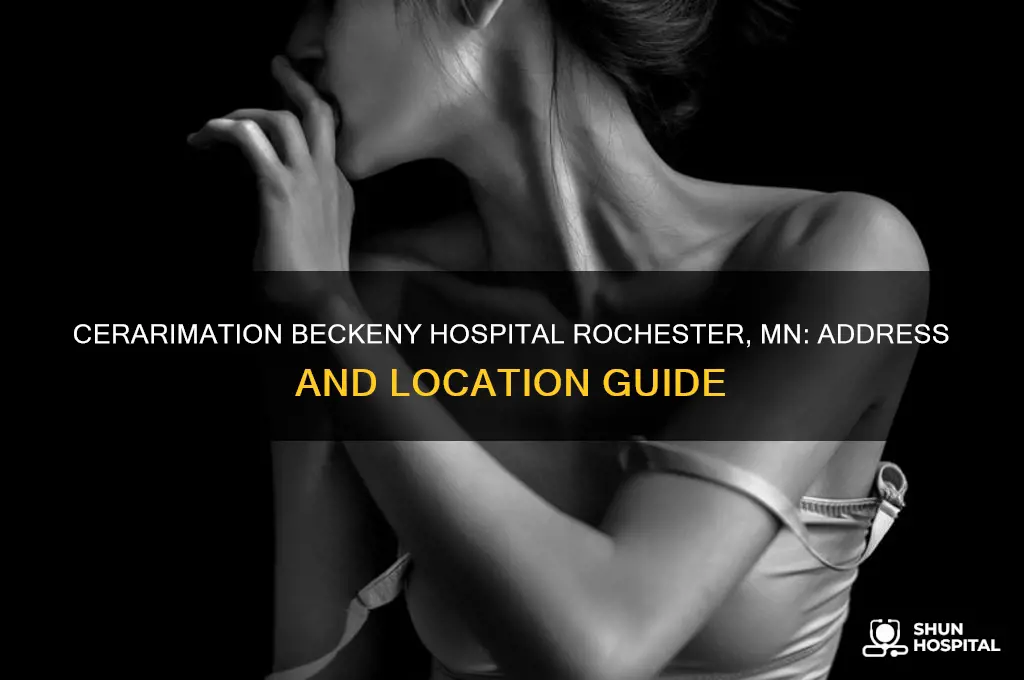 what is the address of cerarimation beckeny hospital rochester minn