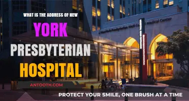 New York Presbyterian Hospital Address: Location and Directions Guide