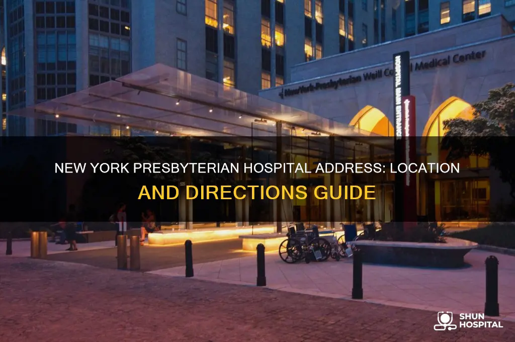 what is the address of new york presbyterian hospital