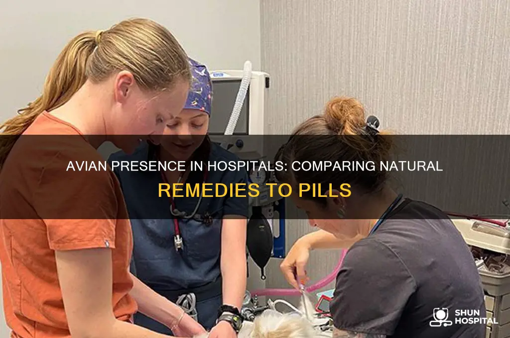 what is the amountof avian at hospitals vs pills