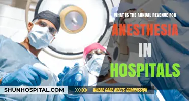 Exploring Annual Revenue from Anesthesia Services in Hospitals