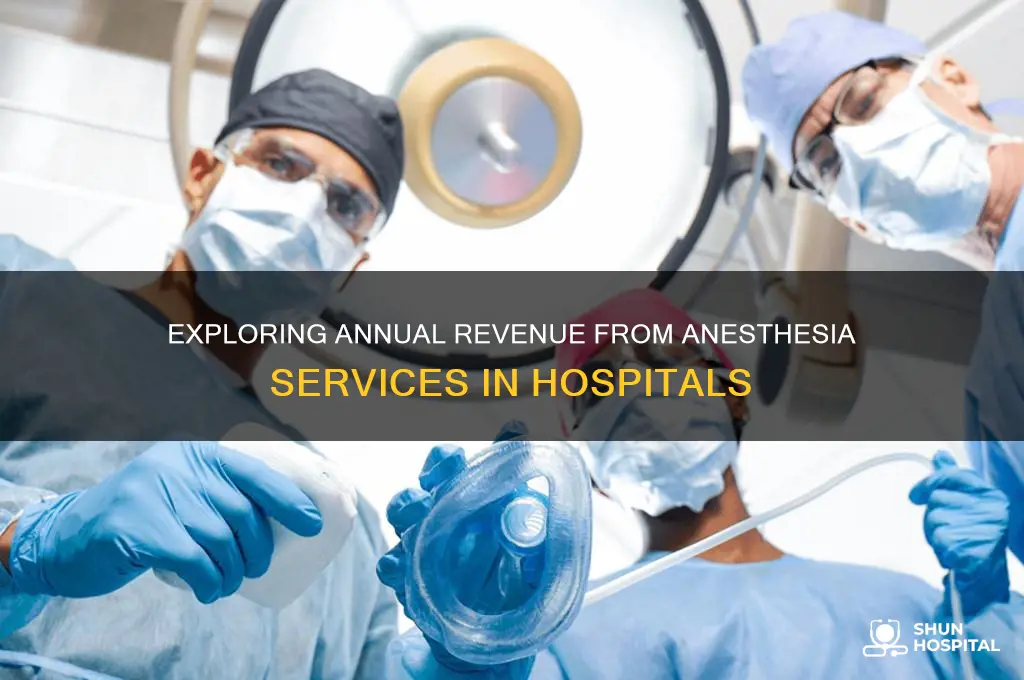 what is the annual revenue for anesthesia in hospitals