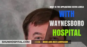 Understanding Waynesboro Hospital's Application Status Levels: A Comprehensive Guide
