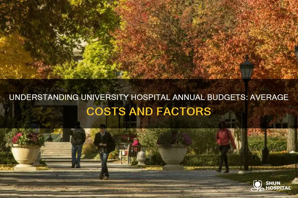 what is the average annual budget for a university hospital