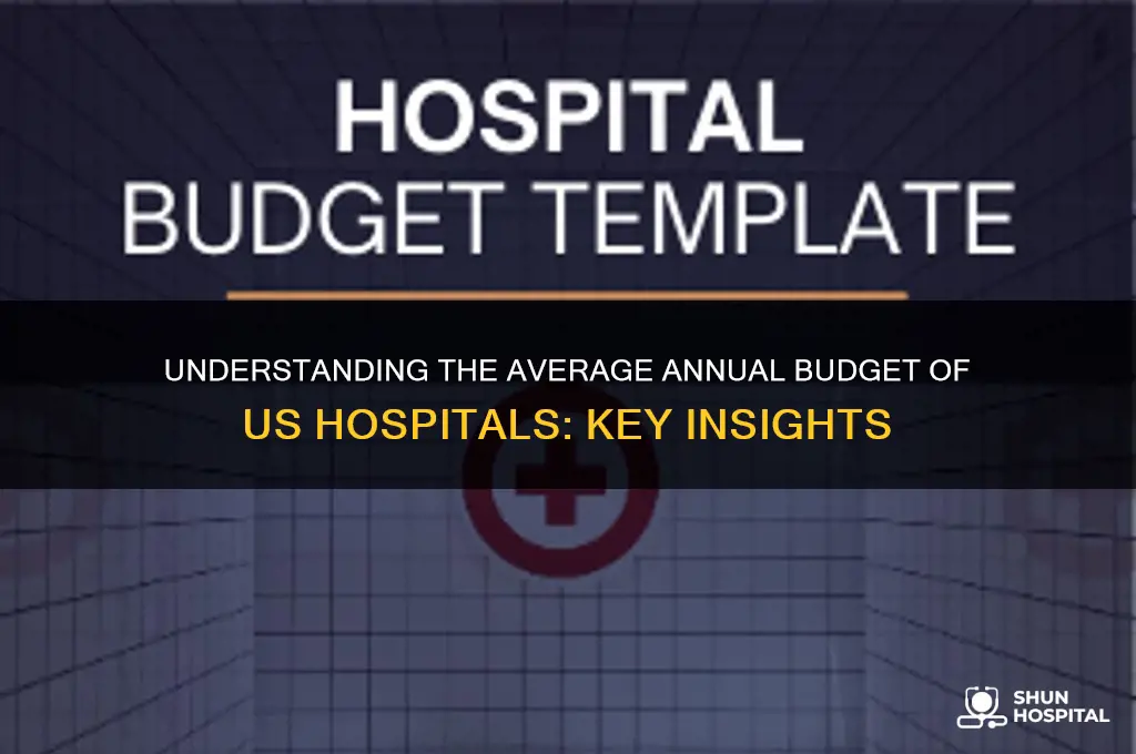 what is the average annual budget hospital in the usa