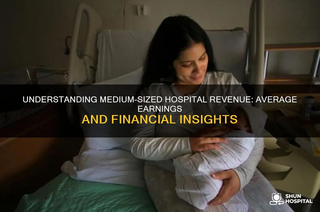 what is the average revenue of a medium sized hospital