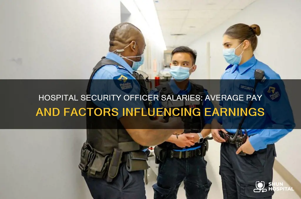 what is the average salary for a hospital security officer