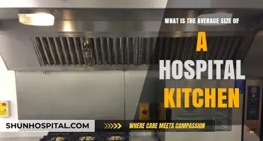 Exploring the Standard Dimensions of a Hospital Kitchen Setup