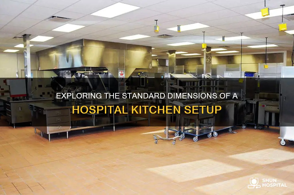 what is the average size of a hospital kitchen