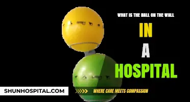 Unveiling the Mystery: Hospital Wall Ball's Purpose Explained