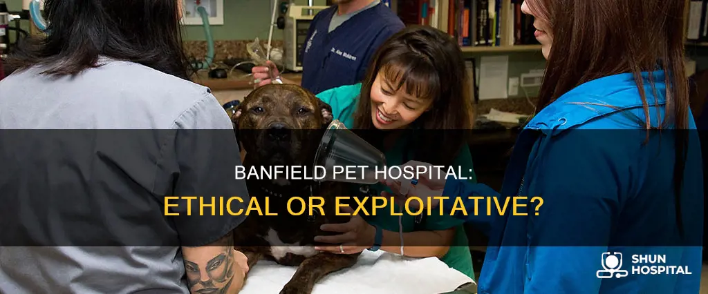 what is the banfield pet hospital controversy