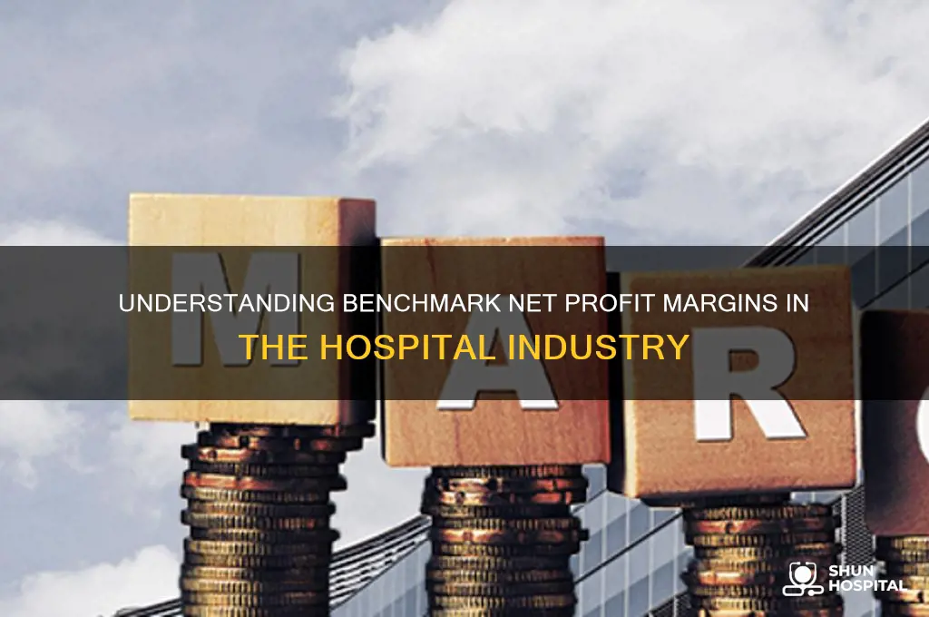 what is the benchmark net profit margin for hospitals