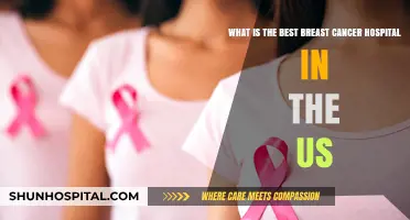 Top US Breast Cancer Hospitals: Expert Care and Treatment Options