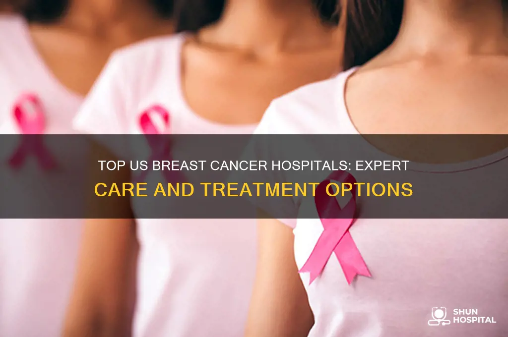 what is the best breast cancer hospital in the us