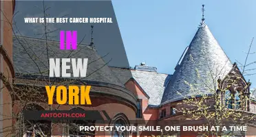 Top Cancer Hospitals in New York: Expert Care and Treatment Options