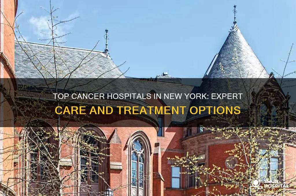 what is the best cancer hospital in new york