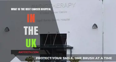 Top UK Cancer Hospitals: Expert Care and Leading Treatments
