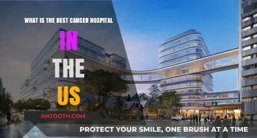 Top US Cancer Hospitals: Expert Care and Cutting-Edge Treatments