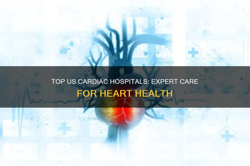 what is the best cardiac hospital in the us