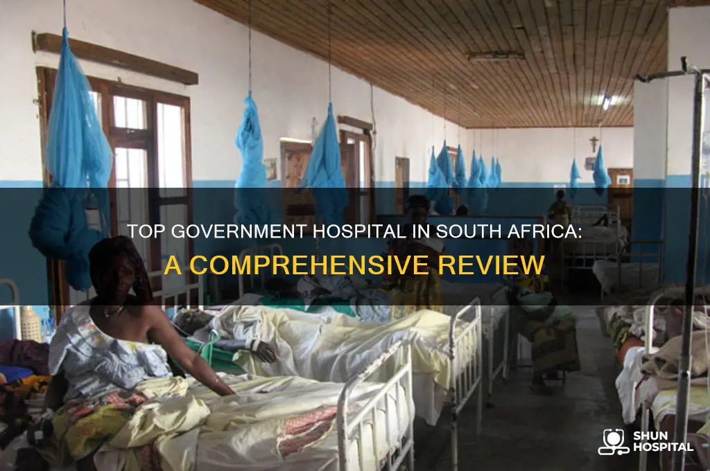 what is the best government hospital in south africa