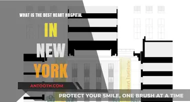 Top Heart Hospitals in New York: Expert Care and Excellence