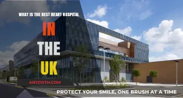 Top UK Heart Hospitals: Expert Care and Leading Cardiac Treatments