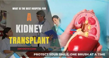 Top Kidney Transplant Hospitals: Finding the Best Care for You