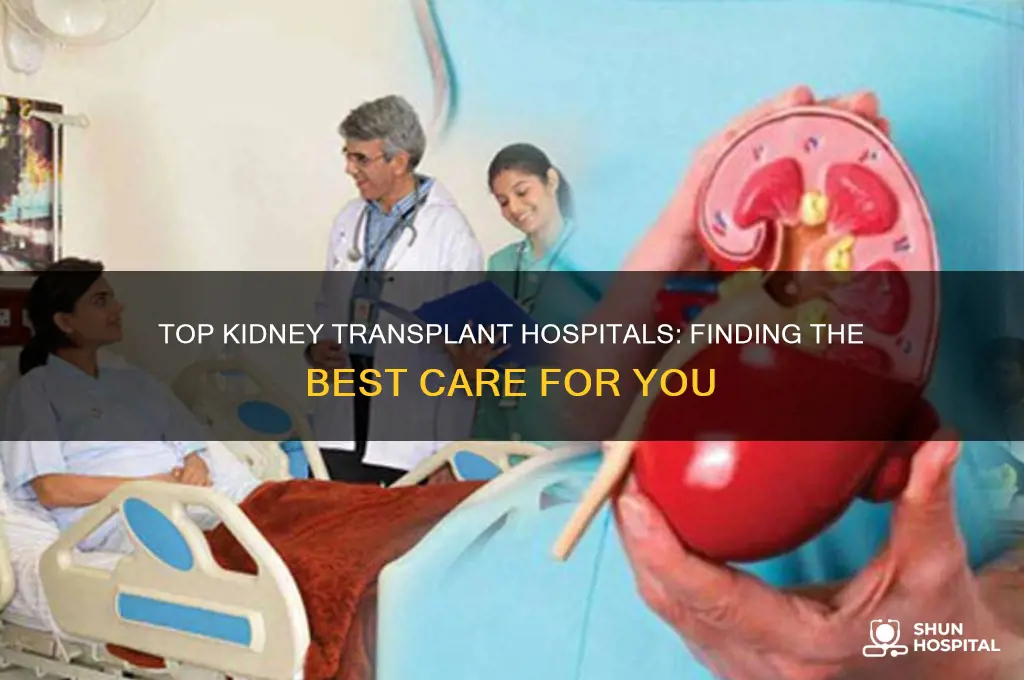 what is the best hospital for a kidney transplant