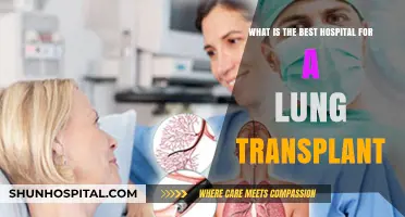 Top Lung Transplant Hospitals: Expert Care and Success Rates Compared