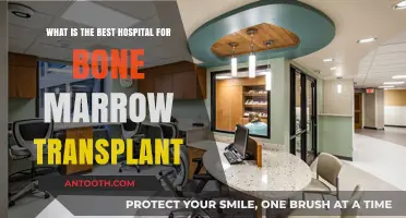 Top Hospitals for Bone Marrow Transplants: Expert Care and Success Rates