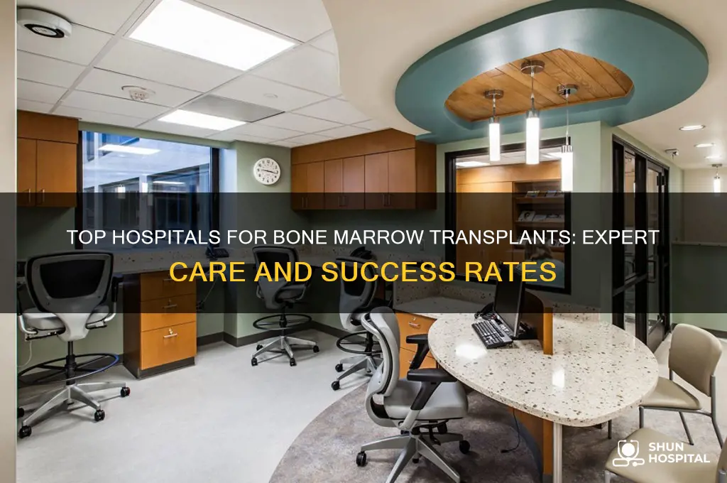 what is the best hospital for bone marrow transplant