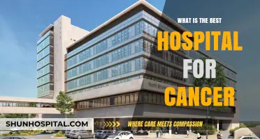 Leading Cancer Hospitals: Where to Seek the Best Treatment