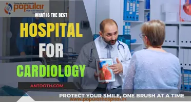 Top Hospitals for Cardiology: Where to Go?