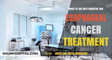 Top Hospitals for Esophageal Cancer Treatment: Expert Care & Outcomes