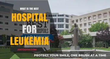 Top Hospitals for Leukemia Treatment