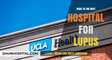 Top Hospitals for Lupus Treatment