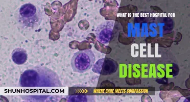 Top Hospitals for Mast Cell Disease: Expert Care and Treatment Options