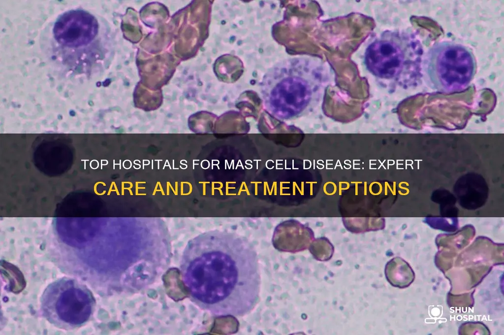 what is the best hospital for mast cell disease