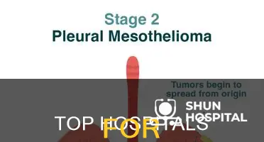 what is the best hospital for mesothelioma
