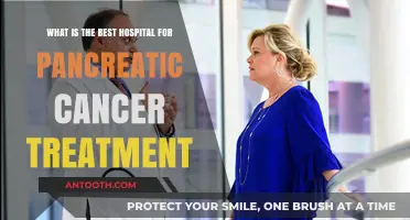 Top Hospitals for Pancreatic Cancer Treatment: Expert Care and Outcomes