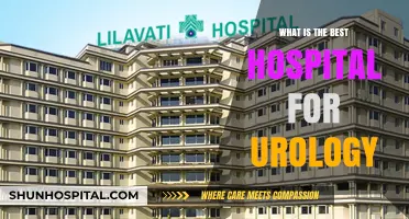 Top Hospitals for Urology: Where to Go?